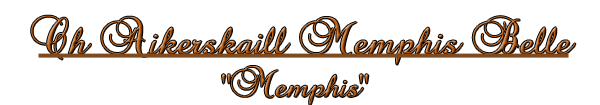 Memphis